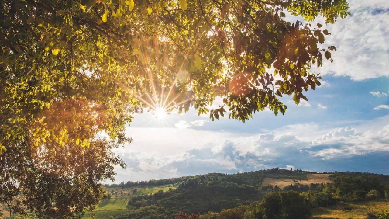 Villa De' Ricci Rignana B&B Greve in Chianti Kültér fotó